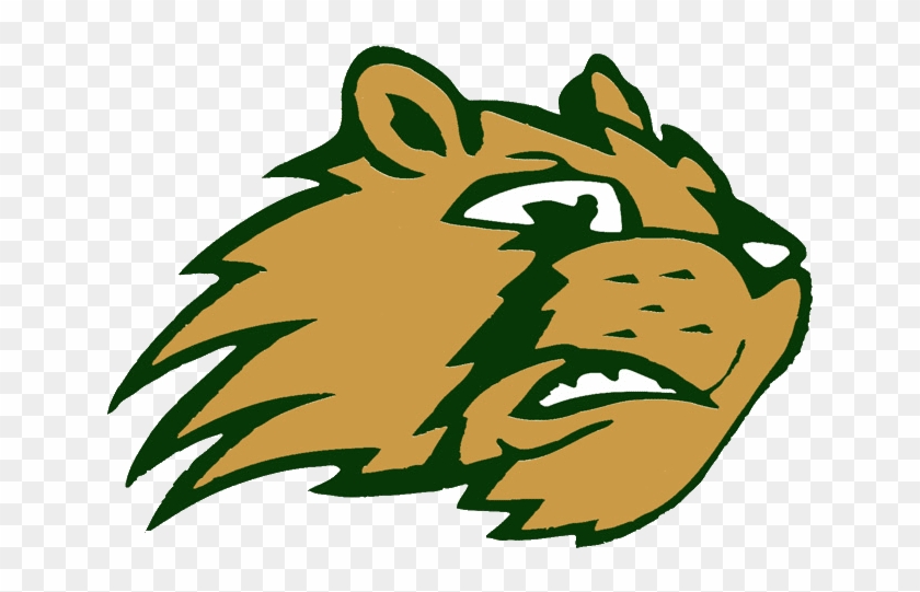 Ridgemont Golden Gophers - Ridgemont High School Ohio #507115