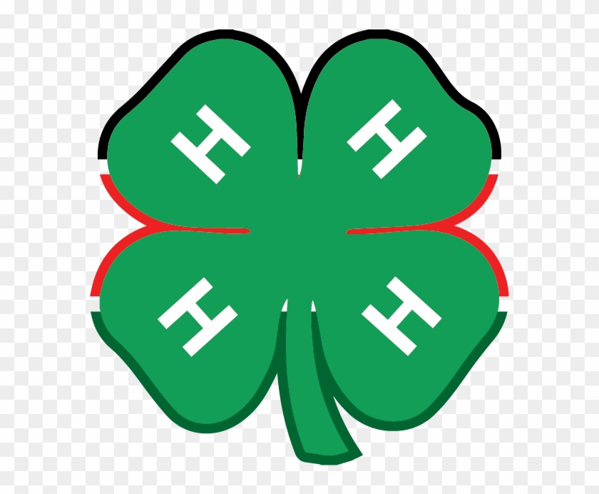 4-h Kenya - 4 H Logo Png #507161