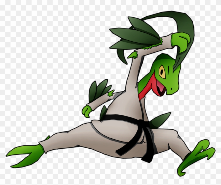 Black Belt Grovyle By Pokemon-traceur - Pokemon Black Belt #507916