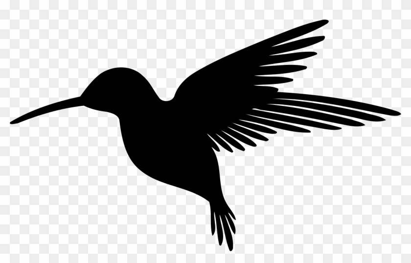 Big Image - Hummingbirds #508575