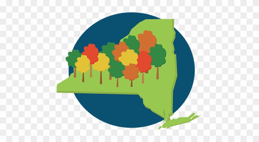 A Healthier Upstate - Author #508714