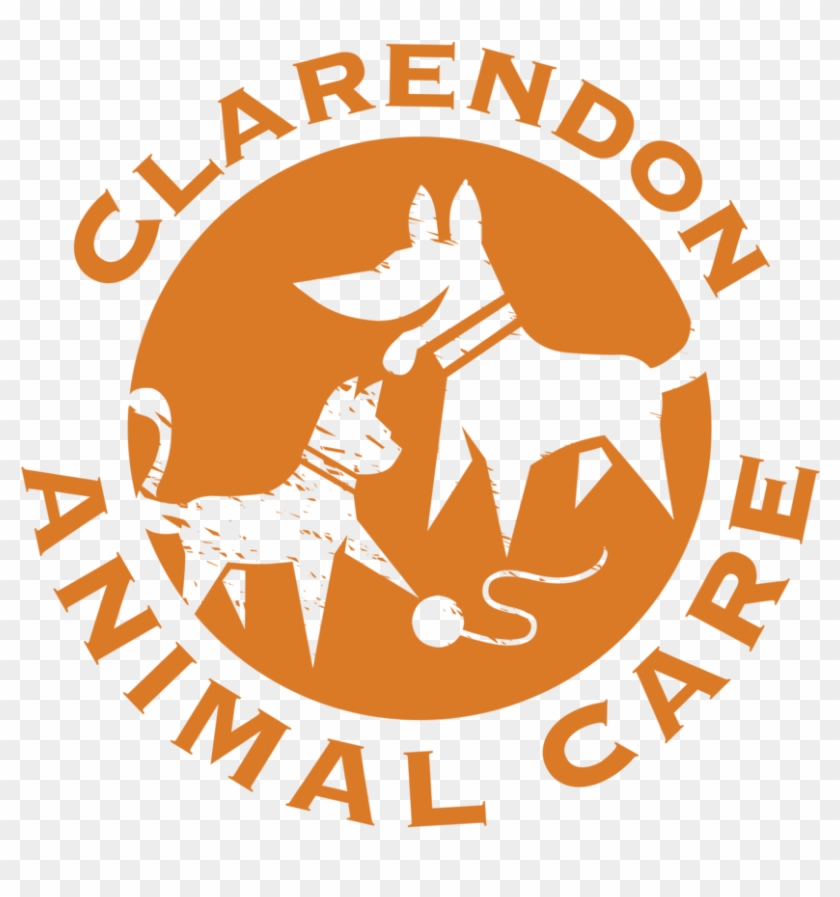 Clarendon Animal Care - Clarendon Animal Care #509759