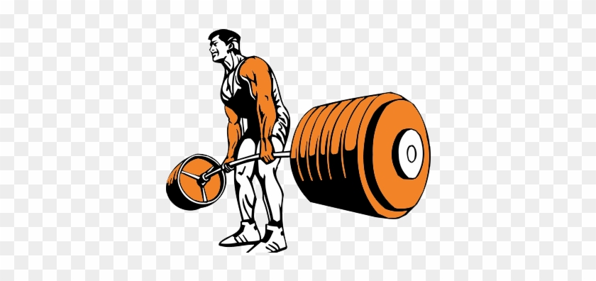 Tirages - Bodybuilding #509826