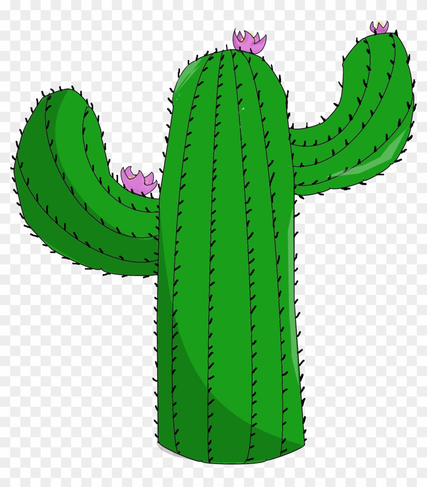 Cactus - Cactus Png #511998