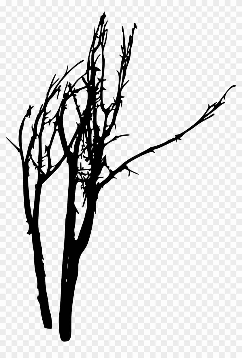 Free Download - Tree #512121
