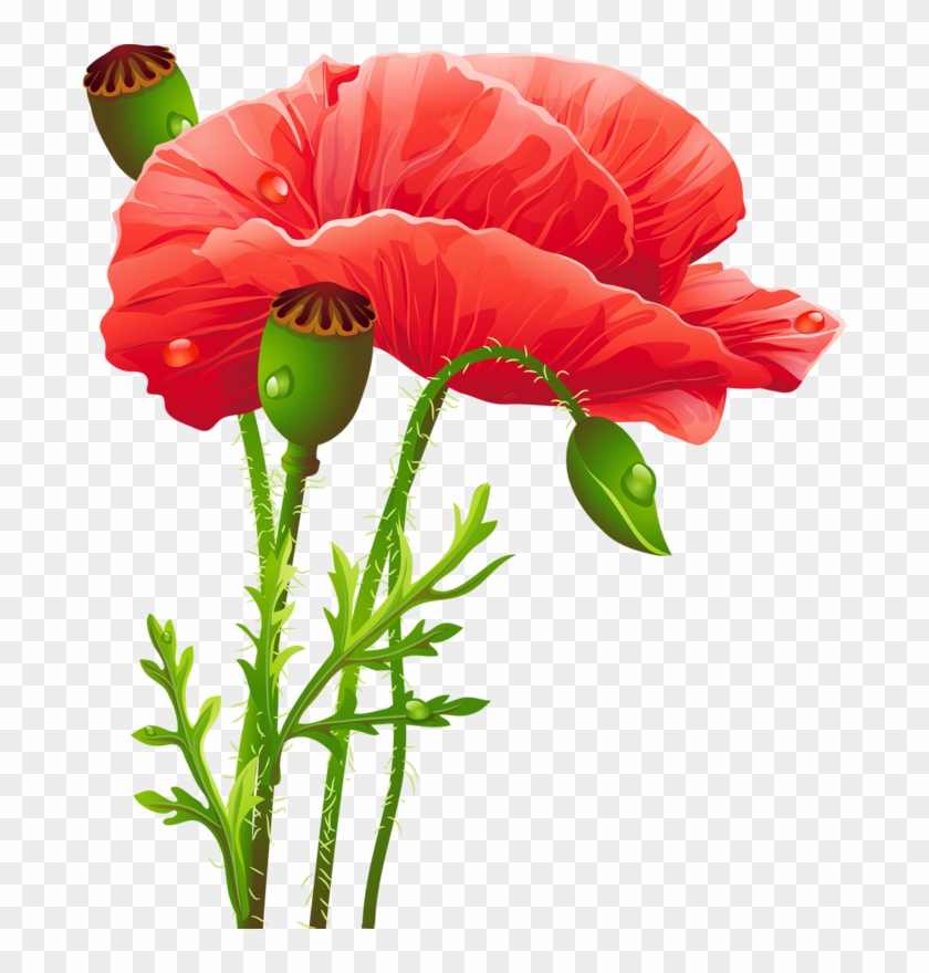 Https - //img-fotki - Yandex - Ru/get/54799/ - Artistic Red Poppies Shower Curtain #512923