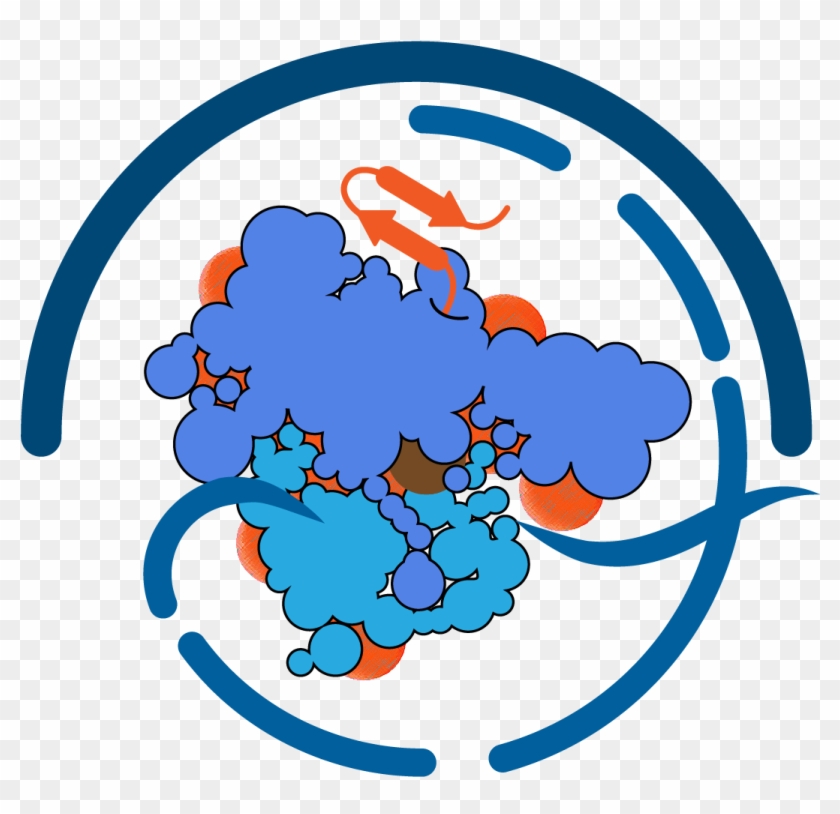 Central Dogma Of Biology Logo - Central Dogma Of Biology Logo #513850