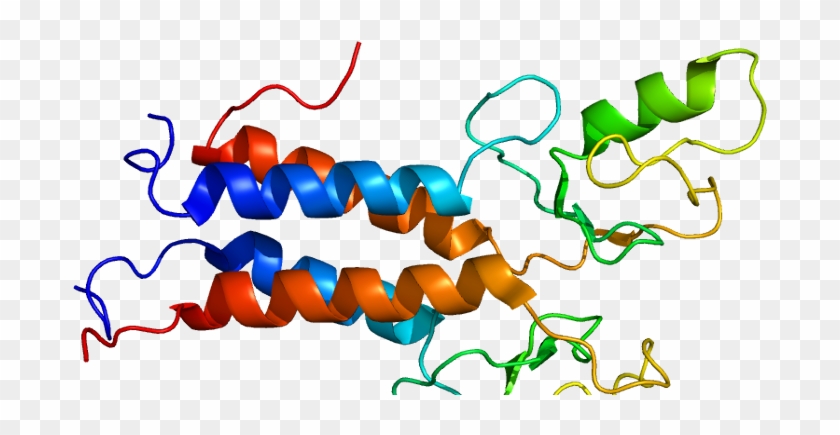 New Study Looks Into Why Brca1 Mutations Cause Predominantly - Intellectual Property In Molecular Medicine By Salim #513907