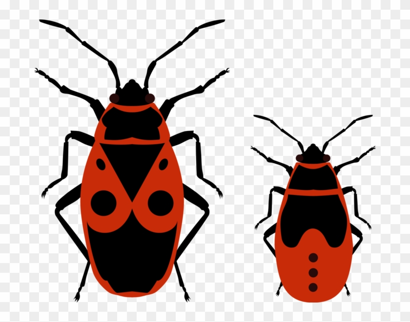 Love Bug Clip Art Clipart Best Qmvzzl Clipart - Fire Bug Vector #514233