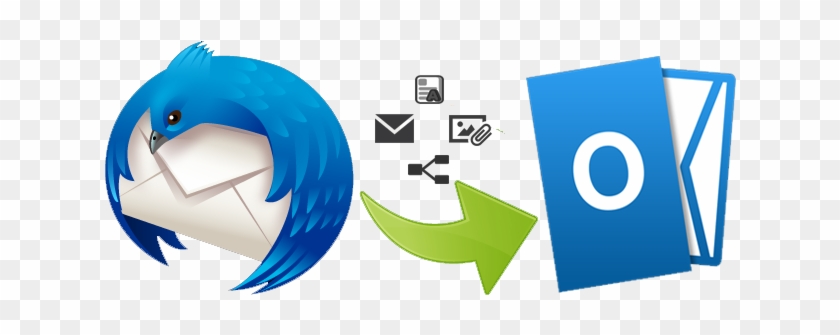 In The Following Segment, We Will Focus On The Way - Thunderbird To Outlook #519708