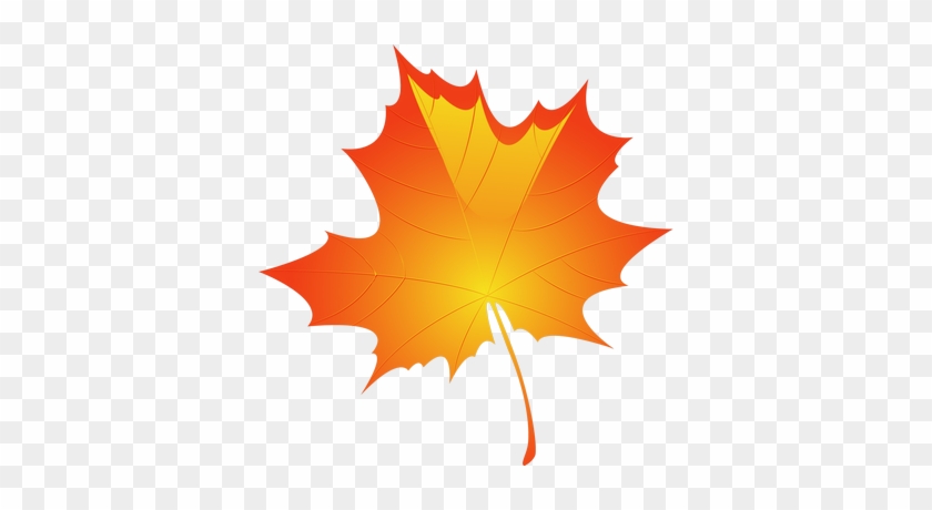 ขอบคุณเพื่อนๆ ทุกท่าน - Maple Leaf Rectangle Magnet #519817