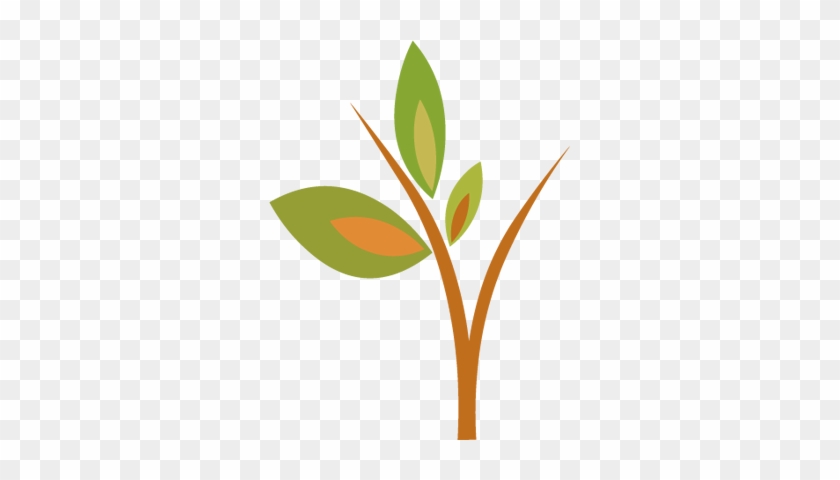 ขอบคุณเพื่อนๆ ทุกท่าน - Tree #519843