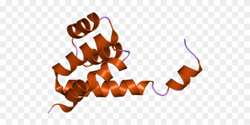 Pdb 2nsn Ebi - Graphic Design #520157