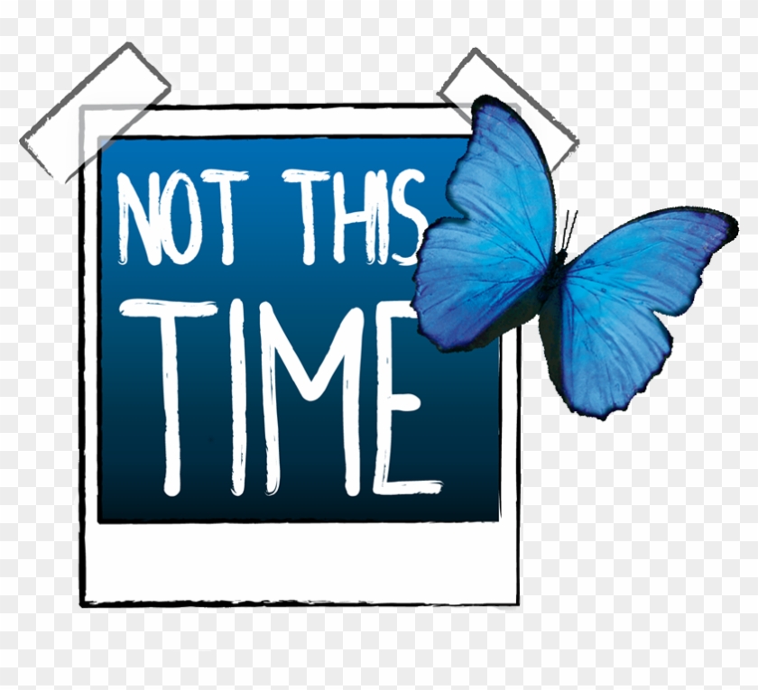 Not This Time - Not This Time #520355