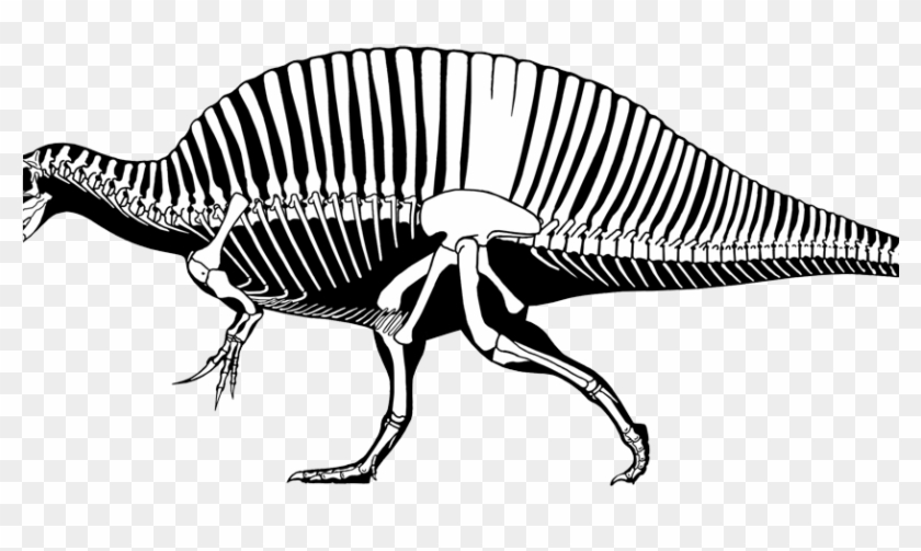 Tyrannosaurus Rex Spinosaurus Aegyptiacus #522813