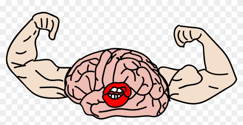 A 2014 Study Used Magnetic Resonance Imaging To Observe - A 2014 Study Used Magnetic Resonance Imaging To Observe #523584