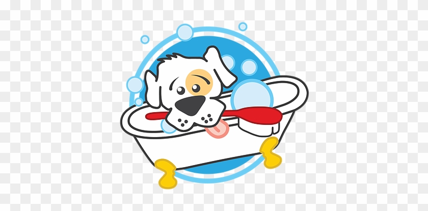 Dunk'n Dogs - Dunk'n Dogs Dog Wash And Grooming #523808