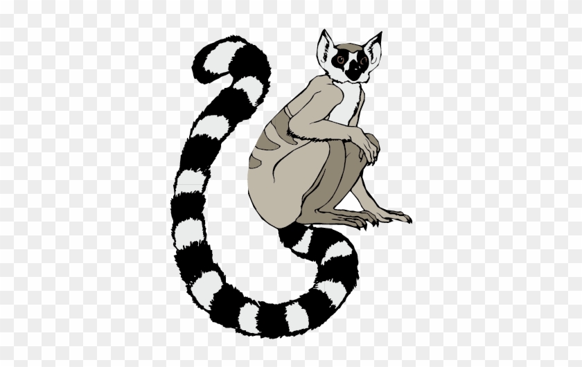 Monkey Ear Computer File - Long Tail #527371