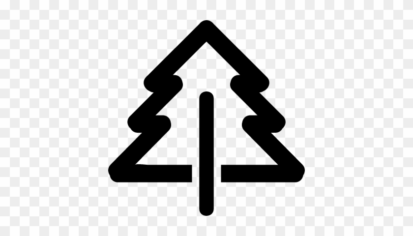 Pine Tree Gross Outline Vector - Pine Icon #528608