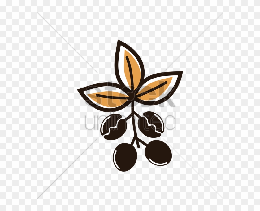 Coffee Plant Clipart Vector Png - Coffee Bean #528888