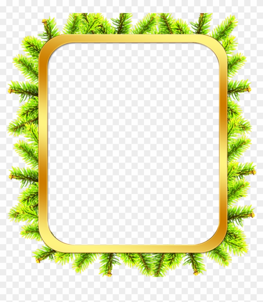 Tree - Tree #529228