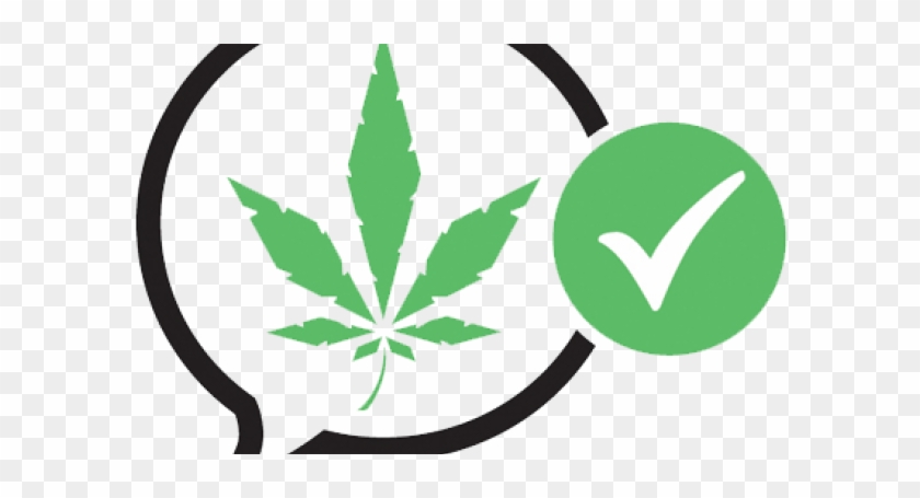 New Board For Cannabis Party - Legalize Marijuana Party Nz #530158