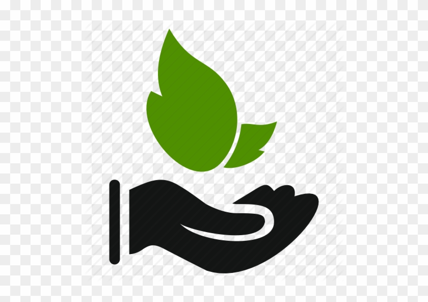 Email Icon Download - Forest #530221