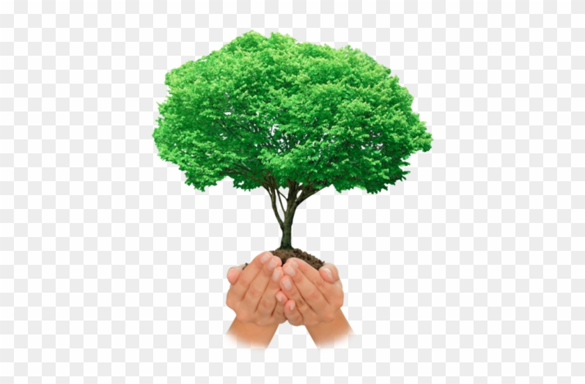 Resultado De Imagen De Siembra Un Rbol - Train Through The Video Game #530245