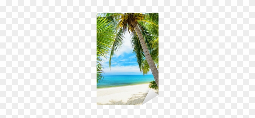 Vinilo Pixerstick Árbol Verde En Una Playa De Arena - Studio Background 6 X 8 #530361