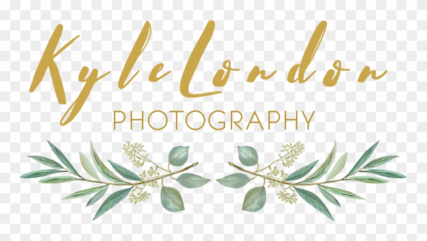 Wedding Photography #531860