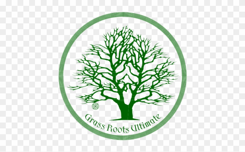 Green Tree Logo W Circle - Wham-o Umax Grassroots Ultimate 175g Frisbee Disc Colors #531995