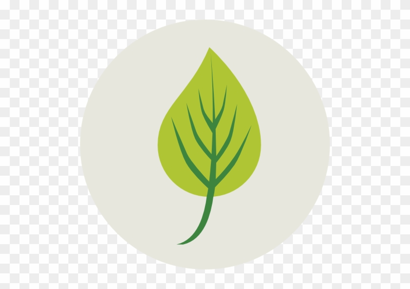 Leaf Free Icon - Ecology #532049
