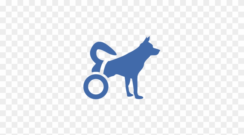Recovering From Ptsd With The Help Of Service Dog/ - Positron Emission Tomography #533408