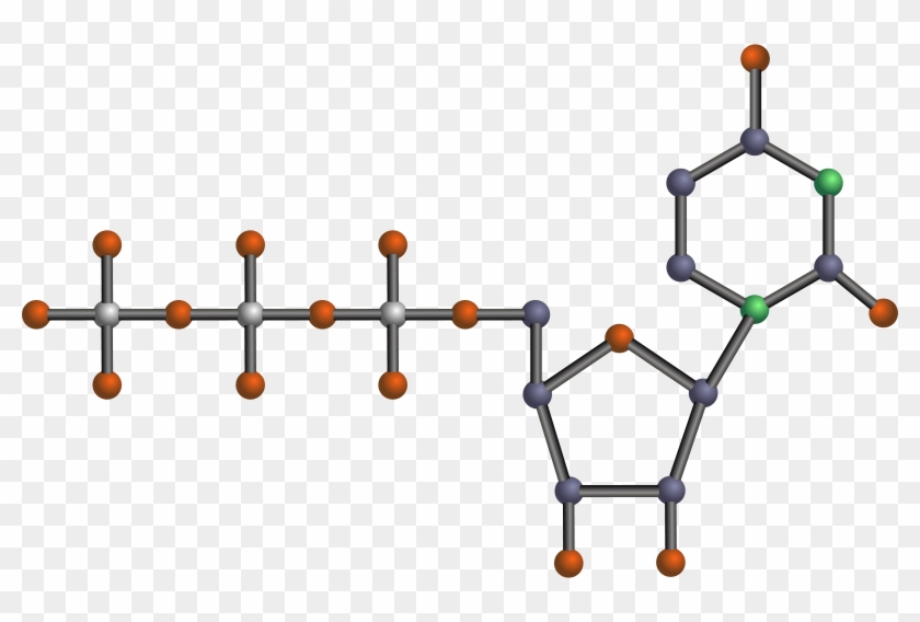 Free Utp - Nucleotide Clipart #533934