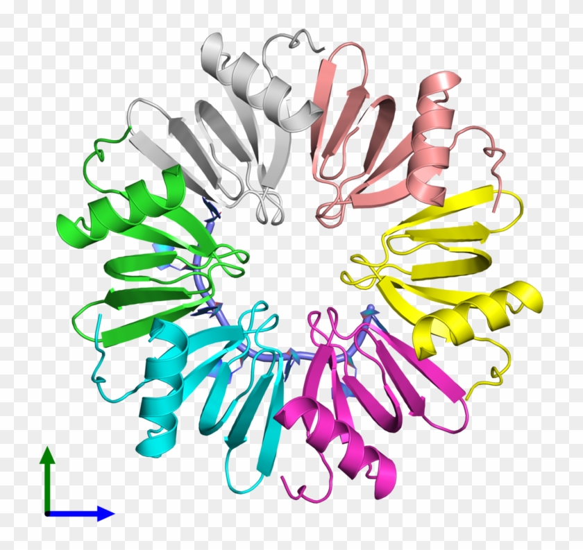 Pdb 3hsb Coloured By Chain And Viewed From The Front - Bracelet #533982