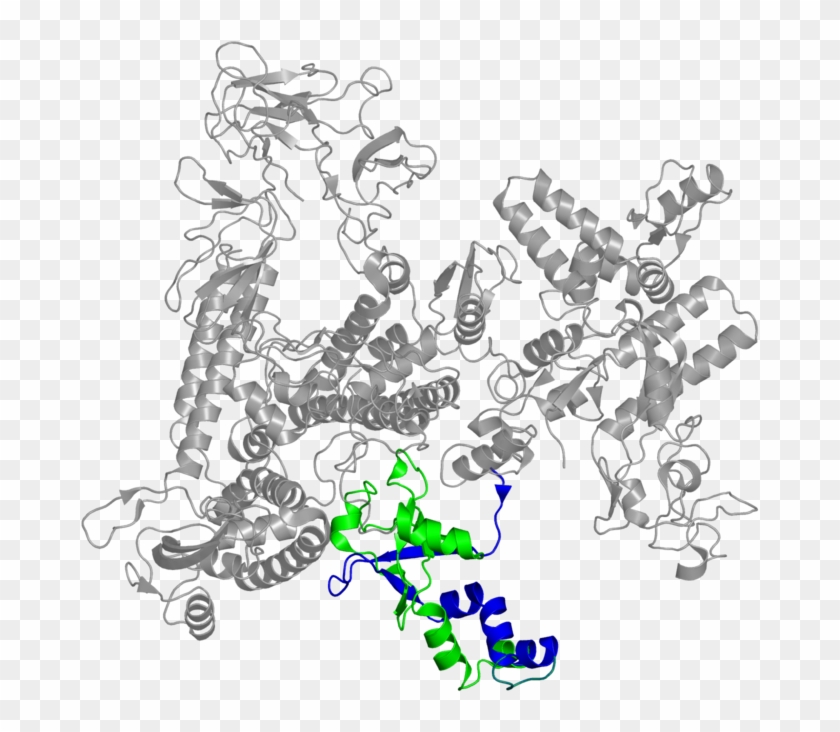 <div Class='caption-body'>2 Copies Of Pfam Domain - Illustration #533986