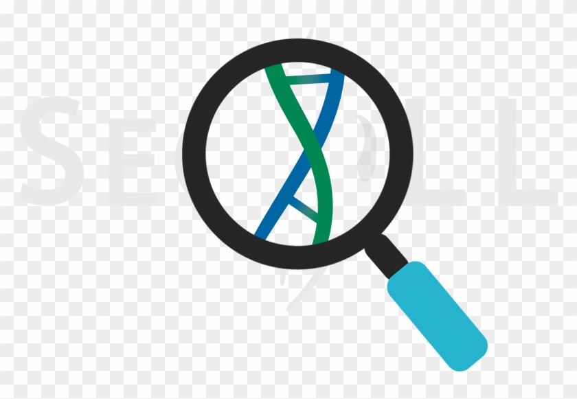 Seqll Dna Rna Sequencing Au2l - Seqll Dna Rna Sequencing Au2l #534001