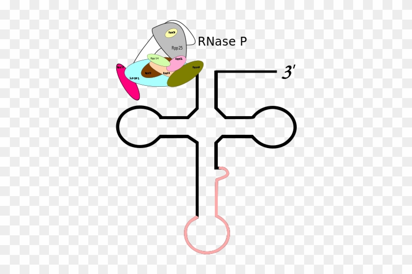Clip Art #534035