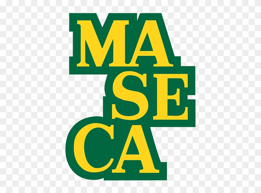 Maseca - Masa Harina #537422