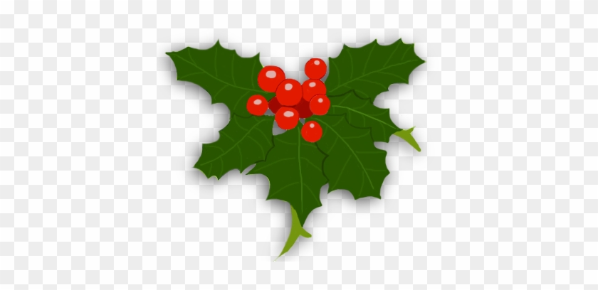 Impassioned - Holly And Ivy Png #538510