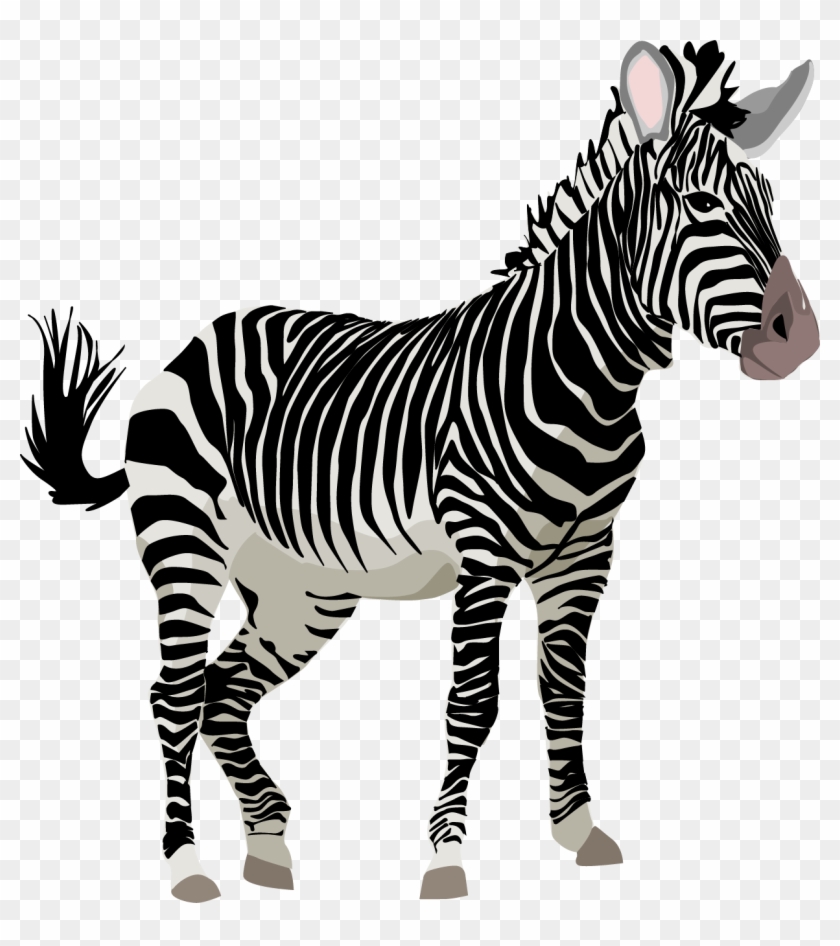 Zebra Free Content Giant Panda Clip Art - Zebra Free Content Giant Panda Clip Art #539227