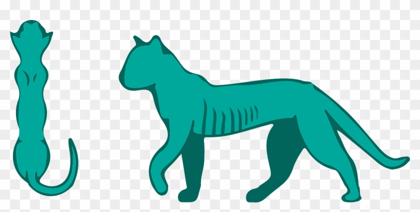Pet - Pet #539663