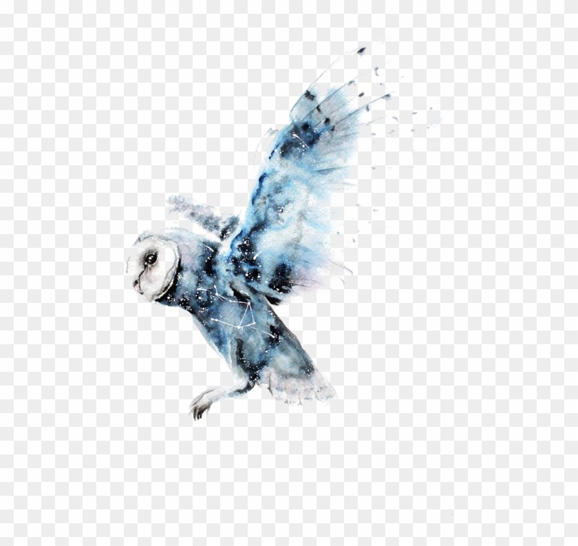 Owl Watercolor Painting Harry Potter Art Drawing - Watercolor Owl Transparent #540762