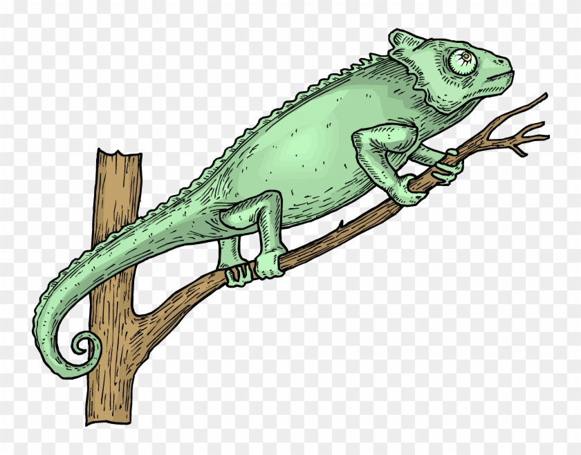 Free Lizard Clipart - Iguana On The Tree Clipart #540962