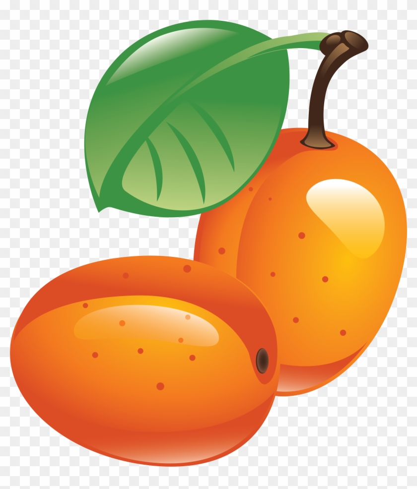 Sea Buckthorn Png - Sea Buckthorn Png #541214