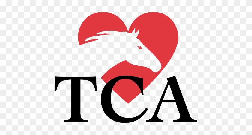 Southern Gaming Magazine Announced That Thoroughbred - Southern Gaming Magazine Announced That Thoroughbred #542301