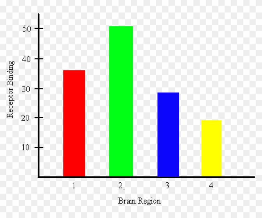 Empty Bar Graph - Graphs About The Brain #542833
