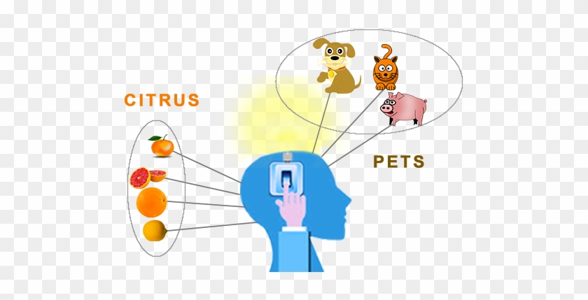 Become A Memory Wizard - Linguacioustm Parents' Favorite French Animal Flashcard #543098