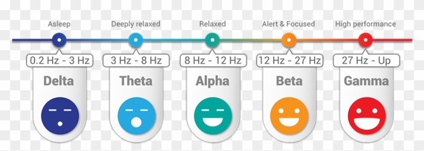Registering At 27 Hz, Gamma Is Connected To Language - Gamma Brain Waves #543181