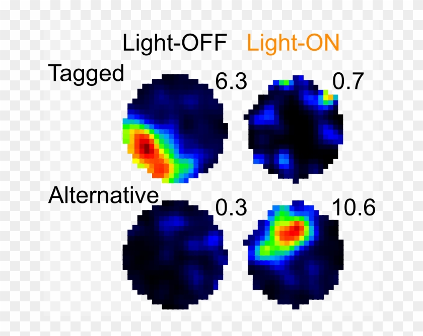 Recoding A Cocaine-place Memory Engram To A Neutral - Pixel Graphics #543210